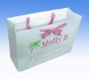 Paper Shopping Bag