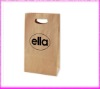 2011New cut handle paper bag YLX-0112