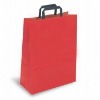 Paper Shopping Bag