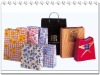 Paper Promotion/Gift Bag