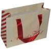 fashion shopping bag