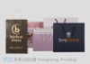 Wholesale shopping paper handbag