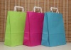 2011 new fashion paper bag