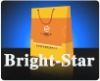 2011 new promotional Paper Bag(PY-0053)
