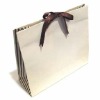 Wholesale fashion paper bag