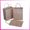 Cheap 2011 Environmental friendly paper shopping bag