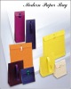 Wholesale paper shopping bag