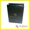 Wholesale 2011 new customized carrier Bag