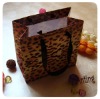 Wholesale Paper Shopping Bag (WF-17001)