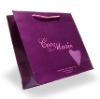 Wholesale fashion paper bag