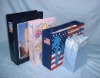 paper shopping bag