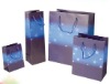 fashion paper bag