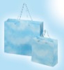 Wholesale Foldable Paper Shopping Bag