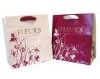 shopping packaging bag