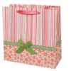 Promotion Gift bag