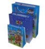 Wholesale shopping paper bag