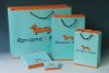 Wholesale paper shopping bag