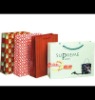 Wholesale 2010 Best-selling Promotional Shopping Paper Bag
