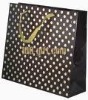 Wholesale 2010 Nice quality & Best-selling paper shopping bag