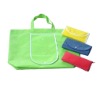 Wholesale 2010 Nonwoven foldable bag,folded bag,tote bag