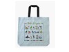 Wholesale canvas eco shopping bag