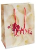 food bag, paper bag,hardcover bag