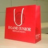 Paper Shopping Bag (gift paper bag, shopping bag)