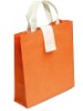 eco bag