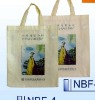 OPP+nonwoven Bag