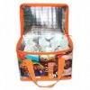Eye-catching Cooler/Ice Bag