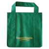 Wholesale high quality non woven shopping bag