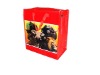 Wholesale pp shopping bag, pp woven bag