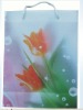 Wholesale PP shopping bags