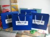 Wholesale luxury shopping bag with matte lamination