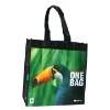 Wholesale laminated shopping bag (NWL-81)
