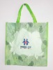 Wholesale PP Non Woven Bag
