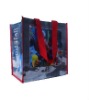 promotional pp non woven shopping bag