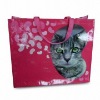 Wholesale PP woven promotion bag