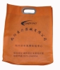 Wholesale PP non-woven bag AC-301