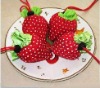 2011 USA newest style nylon strawberry bag