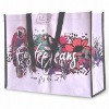 Wholesale pp nonwoven promotional bag