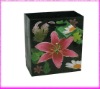 Full color gift bag