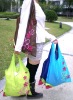 Wholesale Full Color Fashion Non-woven Promotional bag