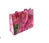 Wholesale High quanlity pp non woven bag