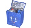 Wholesale Non-woven cooler bag