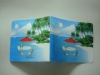 Wholesale (2010 FTY SUPPLY) PP CD BAG