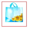 popular promotional pp nonwoven bag