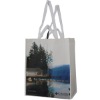 Wholesale PP Woven Bag for shopping