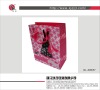 3D Craft Paper Gift bag