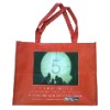 Wholesale 2011 New Film non-woven bag